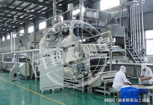 機械化加工粉條的優勢、常見問題及解決方案全解析